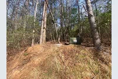 11 Ludlum Drive, Hayesville, NC 28904 - Photo 20