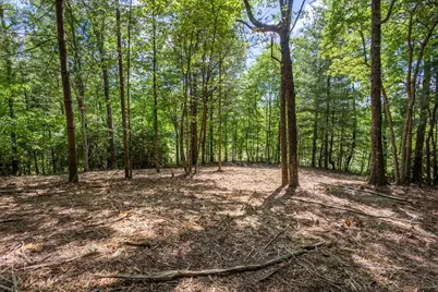 4.2 Acre Donley Road, Murphy, NC 28906 - Photo 6