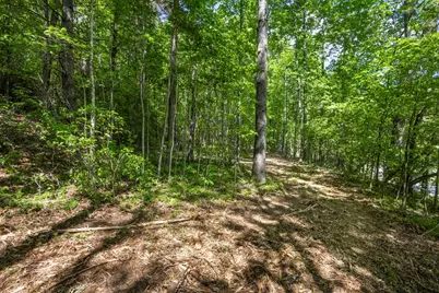 4.2 Acre Donley Road, Murphy, NC 28906 - Photo 2
