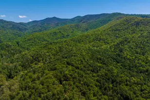 45 Black Bear Trce, Murphy, NC 28906 - Photo 56