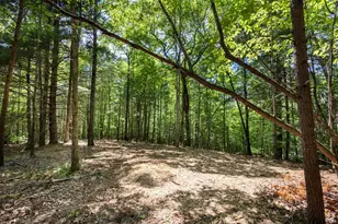 4 0 Acre Donley Rd, Murphy, NC 28906 - Photo 1