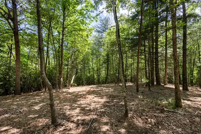 4.0 Acre Donley Road, Murphy, NC 28906 - Photo 12