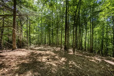 4.0 Acre Donley Road, Murphy, NC 28906 - Photo 4
