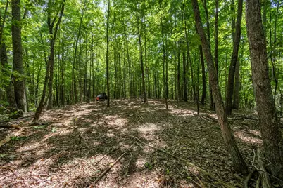 20 Ac Pack Mountain Road, Murphy, NC 28906 - Photo 6