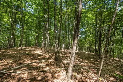 20 Ac Pack Mountain Road, Murphy, NC 28906 - Photo 10