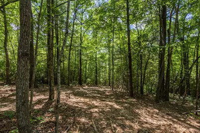 20 Ac Pack Mountain Road, Murphy, NC 28906 - Photo 16