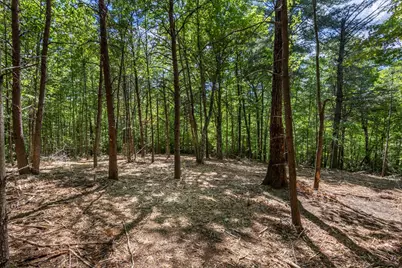 20 Ac Pack Mountain Road, Murphy, NC 28906 - Photo 12