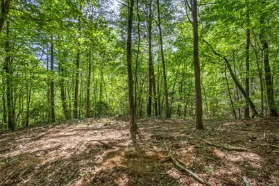 20 Ac Pack Mountain Road, Murphy, NC 28906 - Photo 2
