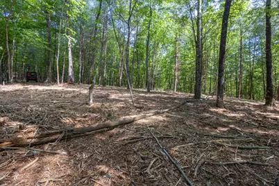 20 Ac Pack Mountain Road, Murphy, NC 28906 - Photo 1