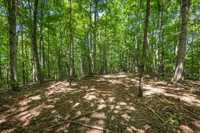 20 Ac Pack Mountain Road, Murphy, NC 28906 - Photo 8