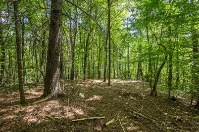 20 Ac Pack Mountain Road, Murphy, NC 28906 - Photo 4