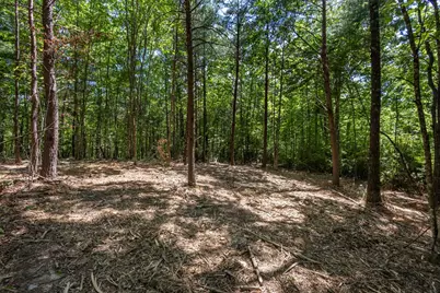 20 Ac Pack Mountain Road, Murphy, NC 28906 - Photo 14
