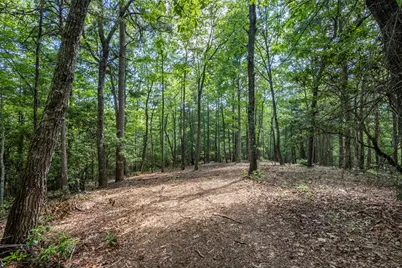 4.3 Ac Donley Road, Murphy, NC 28906 - Photo 4