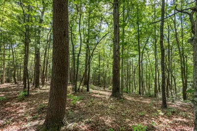 4.3 Ac Donley Road, Murphy, NC 28906 - Photo 6