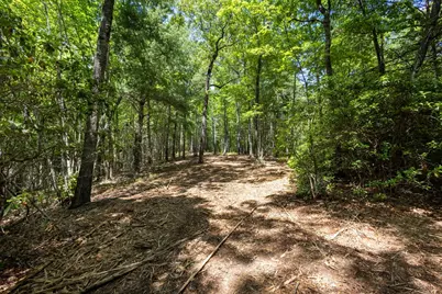 4.3 Ac Donley Road, Murphy, NC 28906 - Photo 10