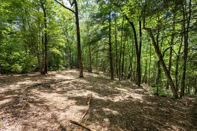 4.3 Ac Donley Road, Murphy, NC 28906 - Photo 8
