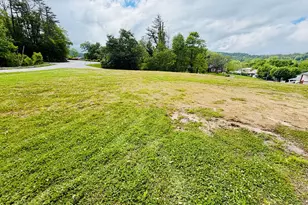 319 Circle St, Robbinsville, NC 28771 - Photo 6