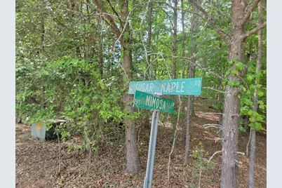 44 Sugar Maple Road, Murphy, NC 28906 - Photo 1