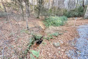 408 Smith Rd, Brasstown, NC 28902 - Photo 32