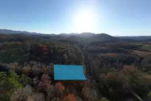 408 Smith Rd, Brasstown, NC 28902 - Photo 34