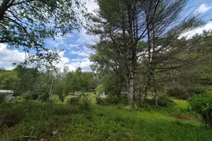 1132 Dockery Crk Rd, Murphy, NC 28906 - Photo 50