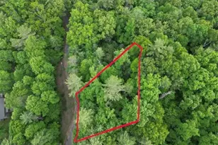 000 Dogwood Trail, Robbinsville, NC 28771 - Photo 1