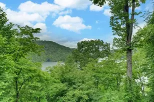 135 Ridge Top Dr, Topton, NC 28781 - Photo 48