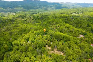 175 Scenic Highlands Dr, Marble, NC 28905 - Photo 40