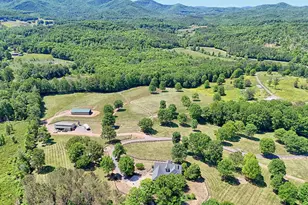 1193 Pine Log Rd, Warne, NC 28909 - Photo 64
