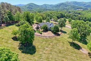 1193 Pine Log Rd, Warne, NC 28909 - Photo 66