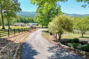 1193 Pine Log Rd, Warne, NC 28909 - Photo 74