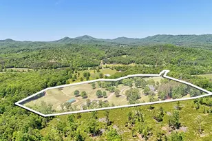 1193 Pine Log Rd, Warne, NC 28909 - Photo 2