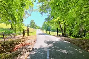 1193 Pine Log Rd, Warne, NC 28909 - Photo 62