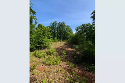Tr 2 Flacon, Hayesville, NC 28904 - Photo 2