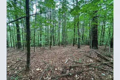 Lot 3 Horse Camp Drive, Hayesville, NC 28904 - Photo 10