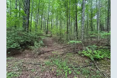 Lot 7 Horse Camp Drive, Hayesville, NC 28904 - Photo 8