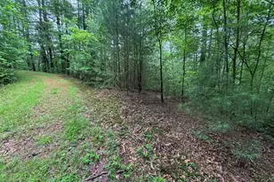 Lot 11 Horse Camp Dr, Hayesville, NC 28904 - Photo 1