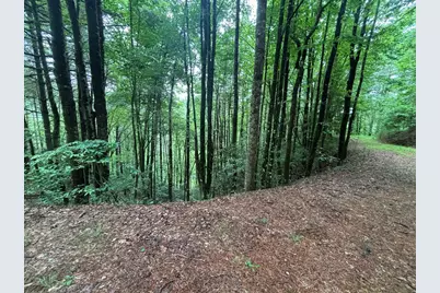 Lot 11 Horse Camp Drive, Hayesville, NC 28904 - Photo 2