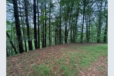 Lot 11 Horse Camp Drive, Hayesville, NC 28904 - Photo 6