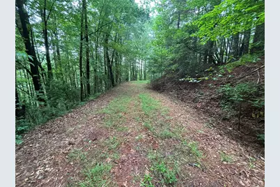 Lot 11 Horse Camp Drive, Hayesville, NC 28904 - Photo 4
