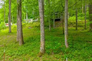 224 Cochrans Cr Rd, Robbinsville, NC 28771 - Photo 38
