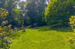 224 Cochrans Cr Rd, Robbinsville, NC 28771 - Photo 40