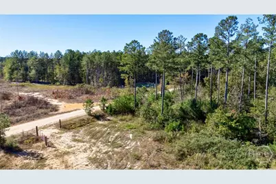 1 Bridges, Carlton, GA 30627 - Photo 6