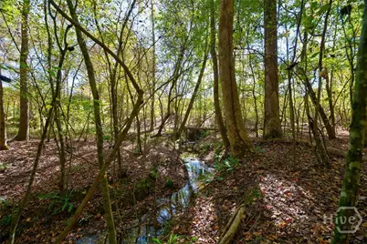 1 Bridges, Carlton, GA 30627 - Photo 1