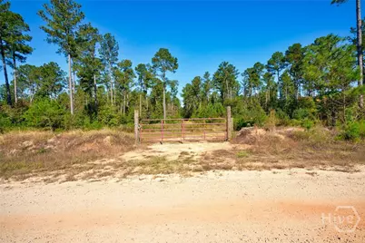 1 Bridges, Carlton, GA 30627 - Photo 4
