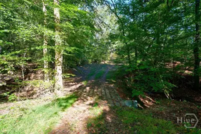 1 Bridges, Carlton, GA 30627 - Photo 14