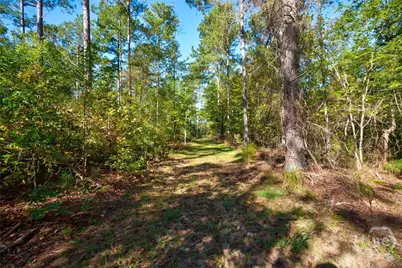 1 Bridges, Carlton, GA 30627 - Photo 10