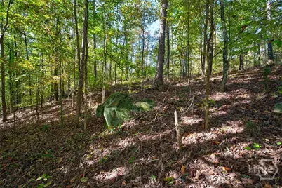 1 Bridges, Carlton, GA 30627 - Photo 22