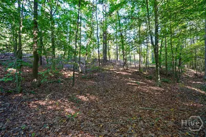 1 Bridges, Carlton, GA 30627 - Photo 16