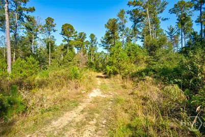 1 Bridges, Carlton, GA 30627 - Photo 8
